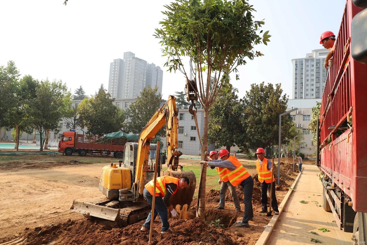 周口苗木綠化工程 專業(yè)綠化施工助力綠色園林建設