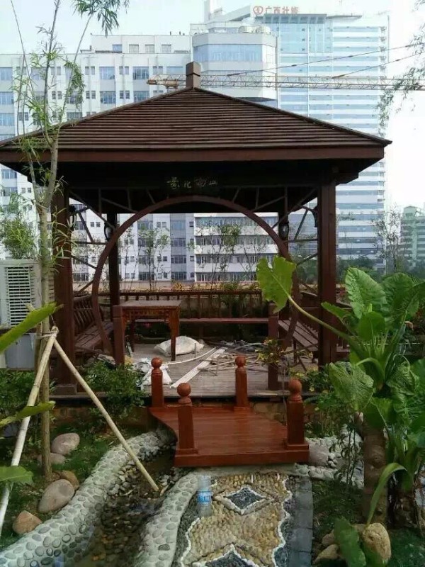 承接馬尼拉草皮護坡工程 小區工廠園林綠化施工養護等